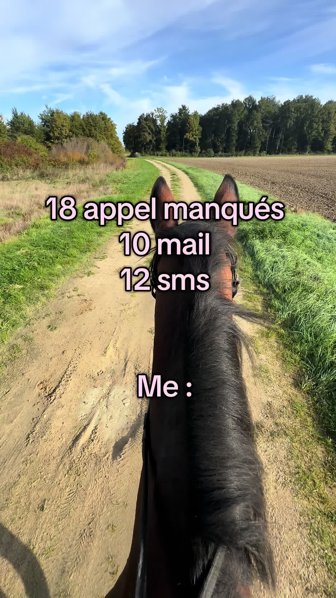 @Dakota Wayne