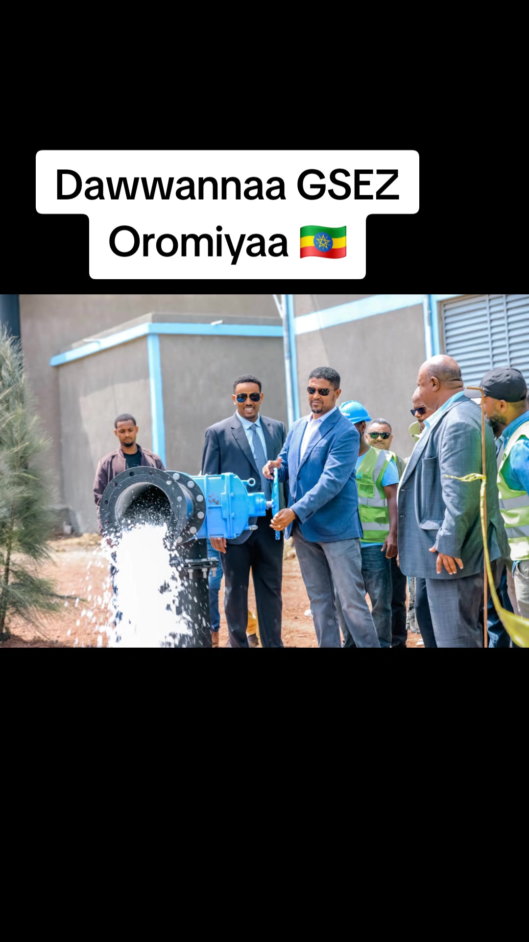 @Shimallis Abdisa Parody