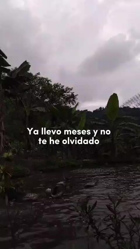 @Rios Medina