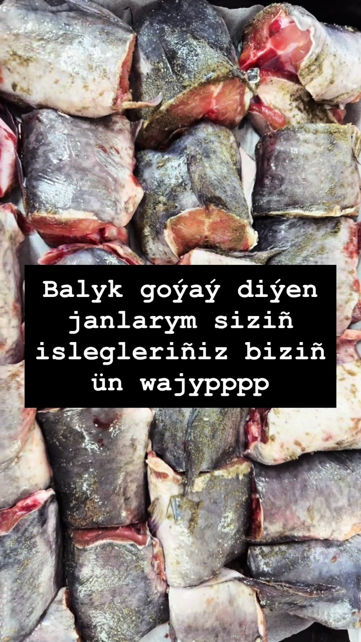 @nazli_bn_horlan