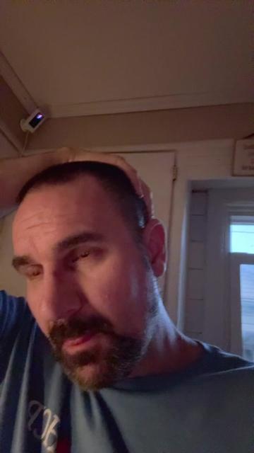 @Gray1_Wolf2.0
