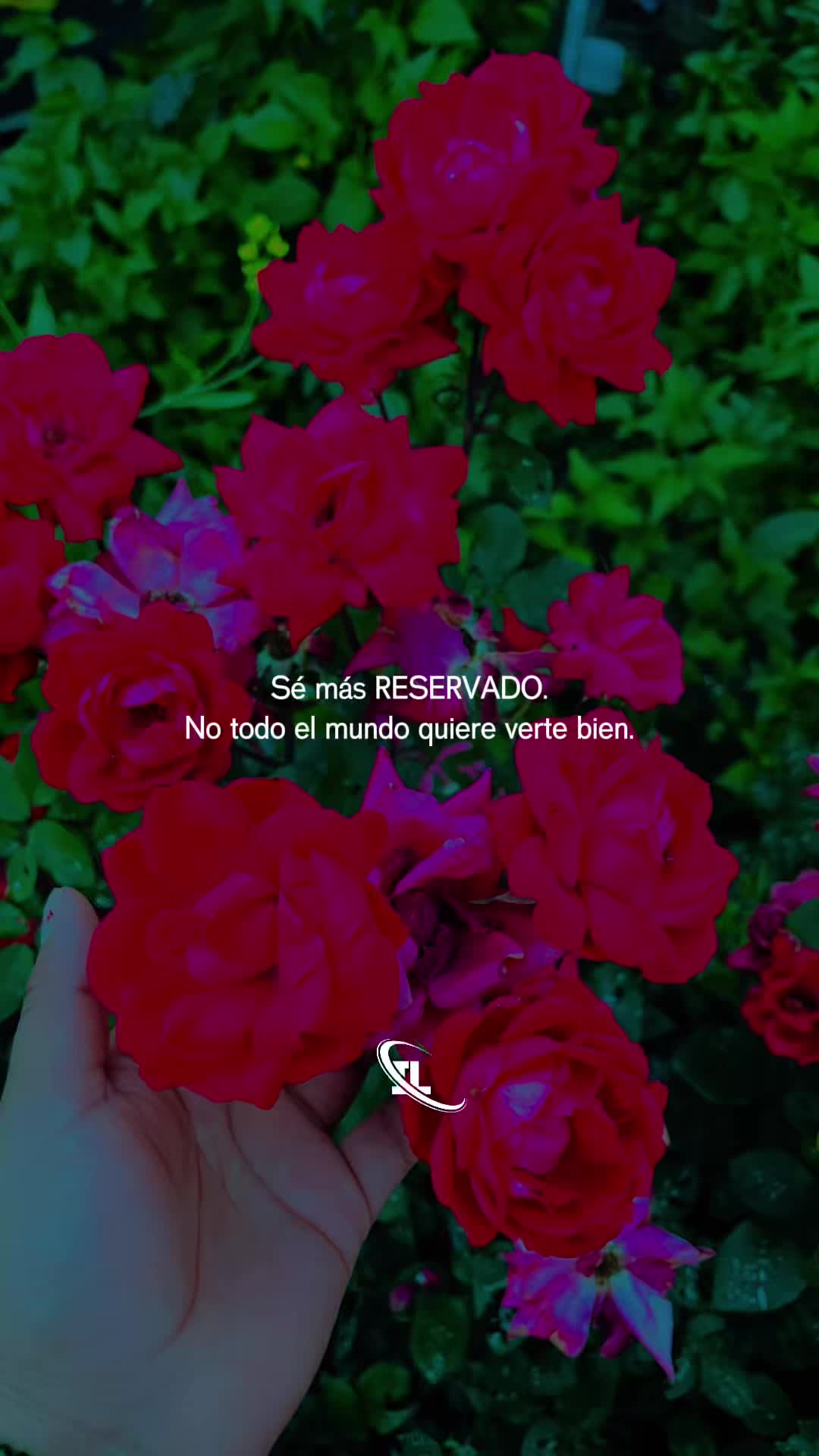 @Elisa Pérez
