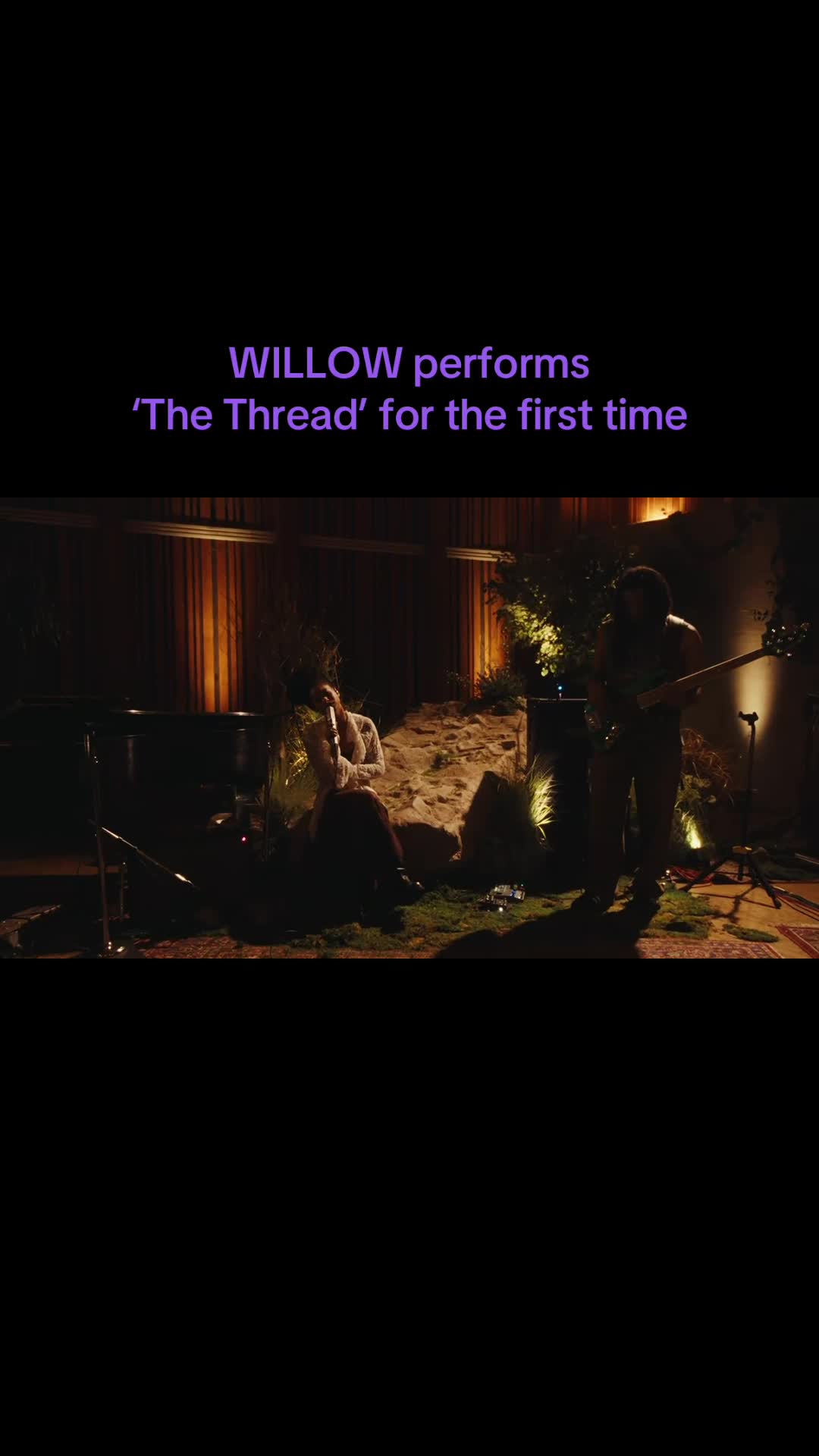 @WILLOW’S WORLD