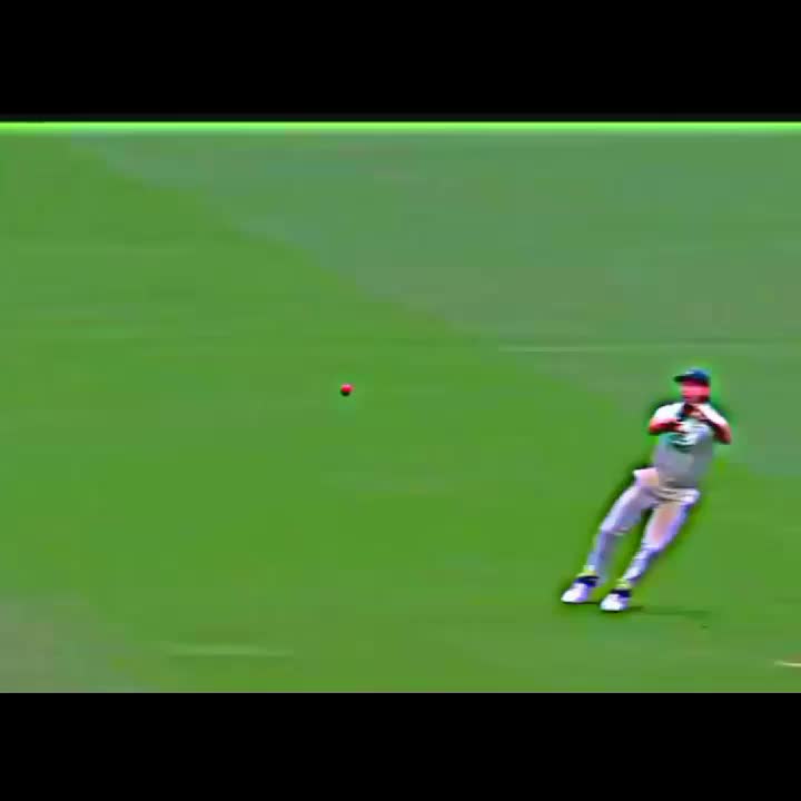 @Cricket lover