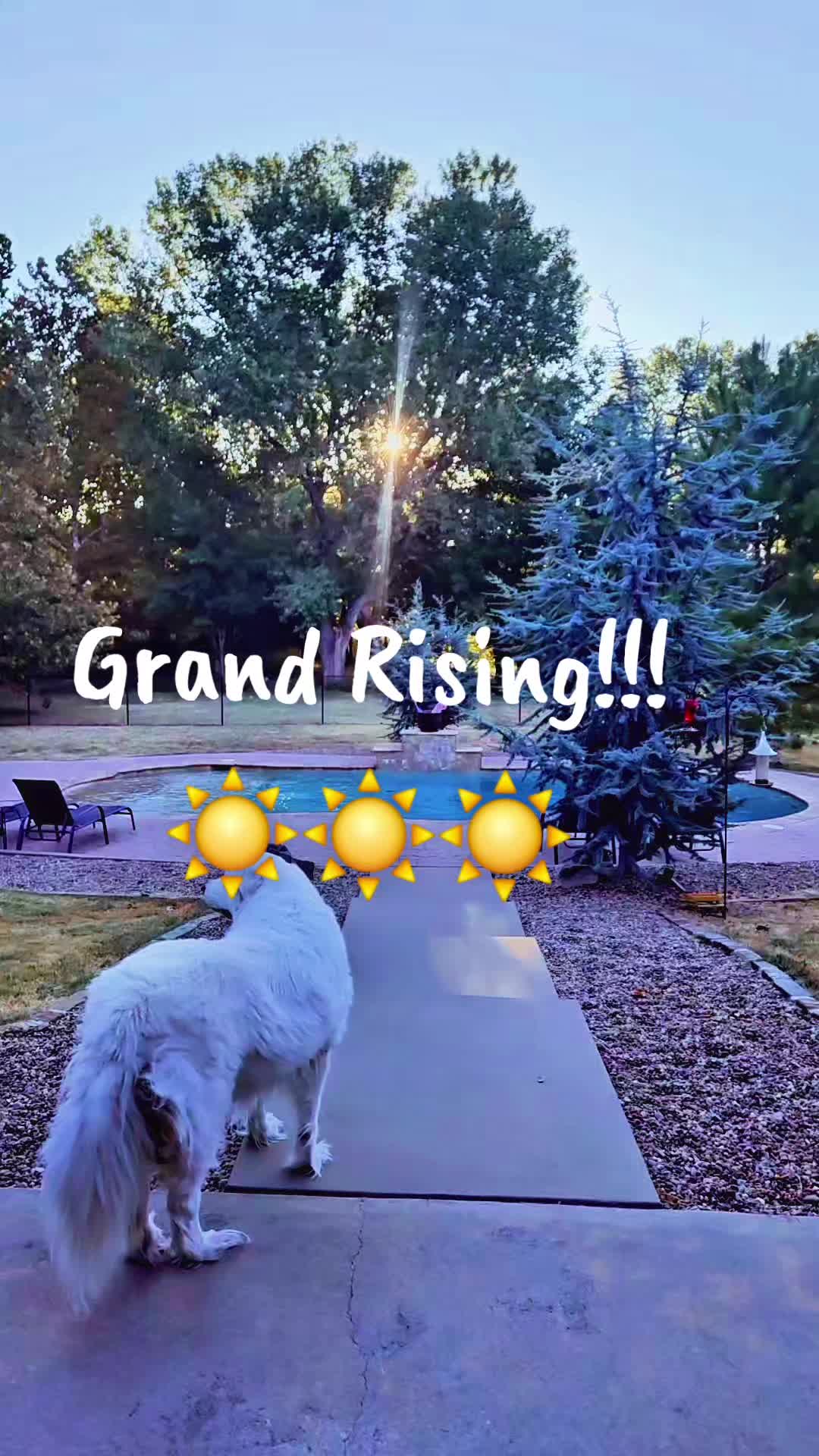 @☀️☀️Chasing Sunshine☀️☀️