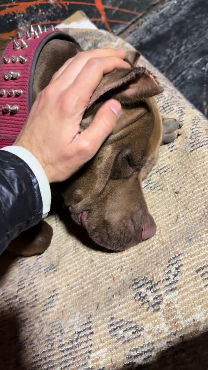 @BARUTBEYY🐶