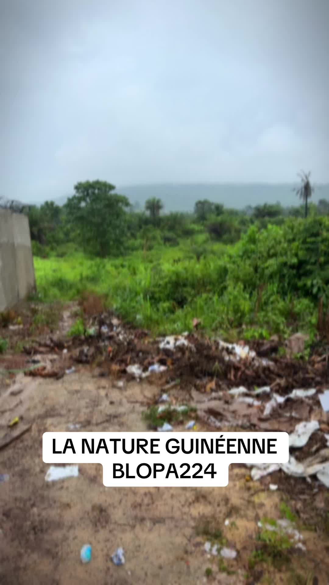@La Guinée 🇬🇳 notre paradis