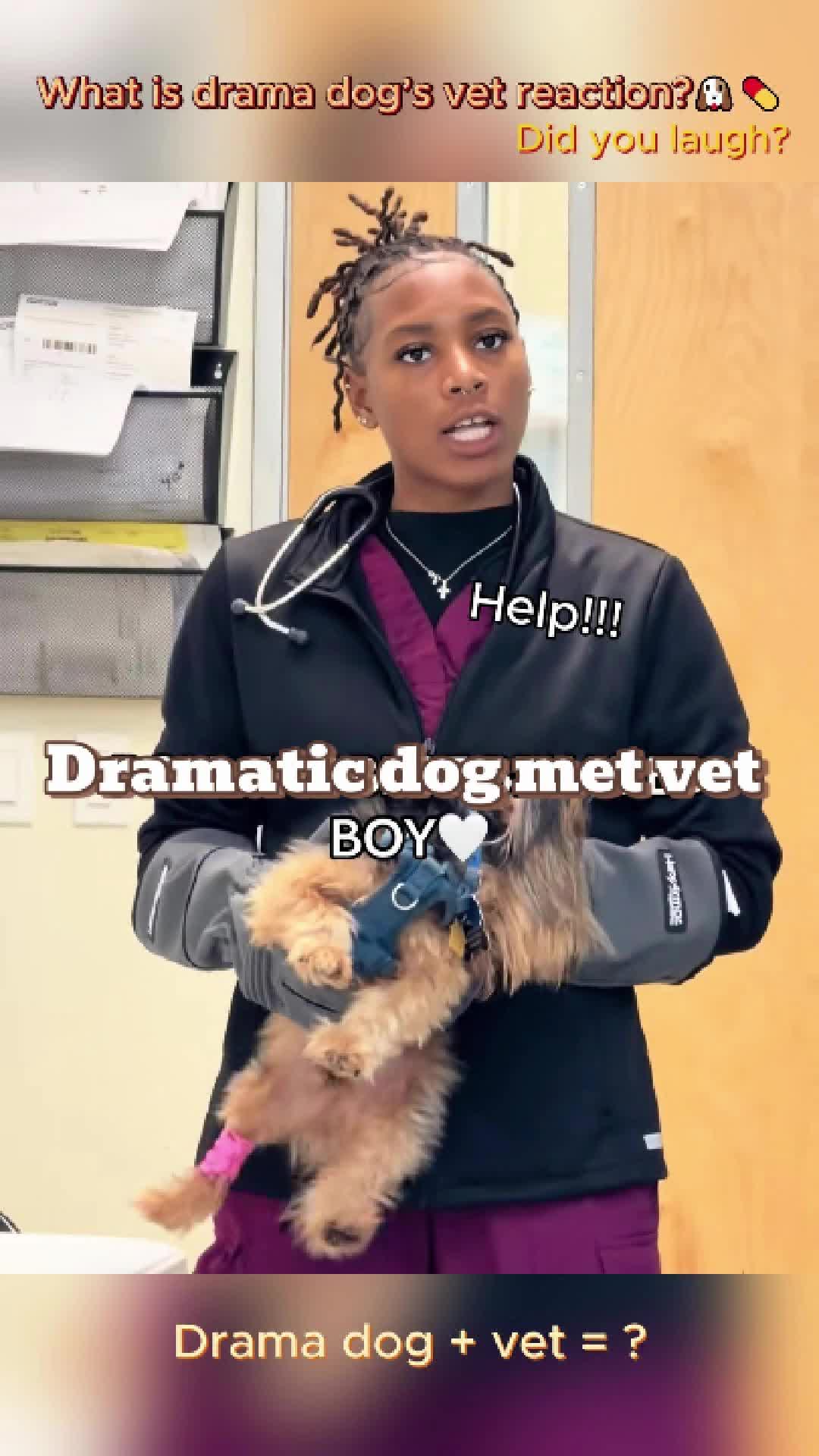 @pet.funny799