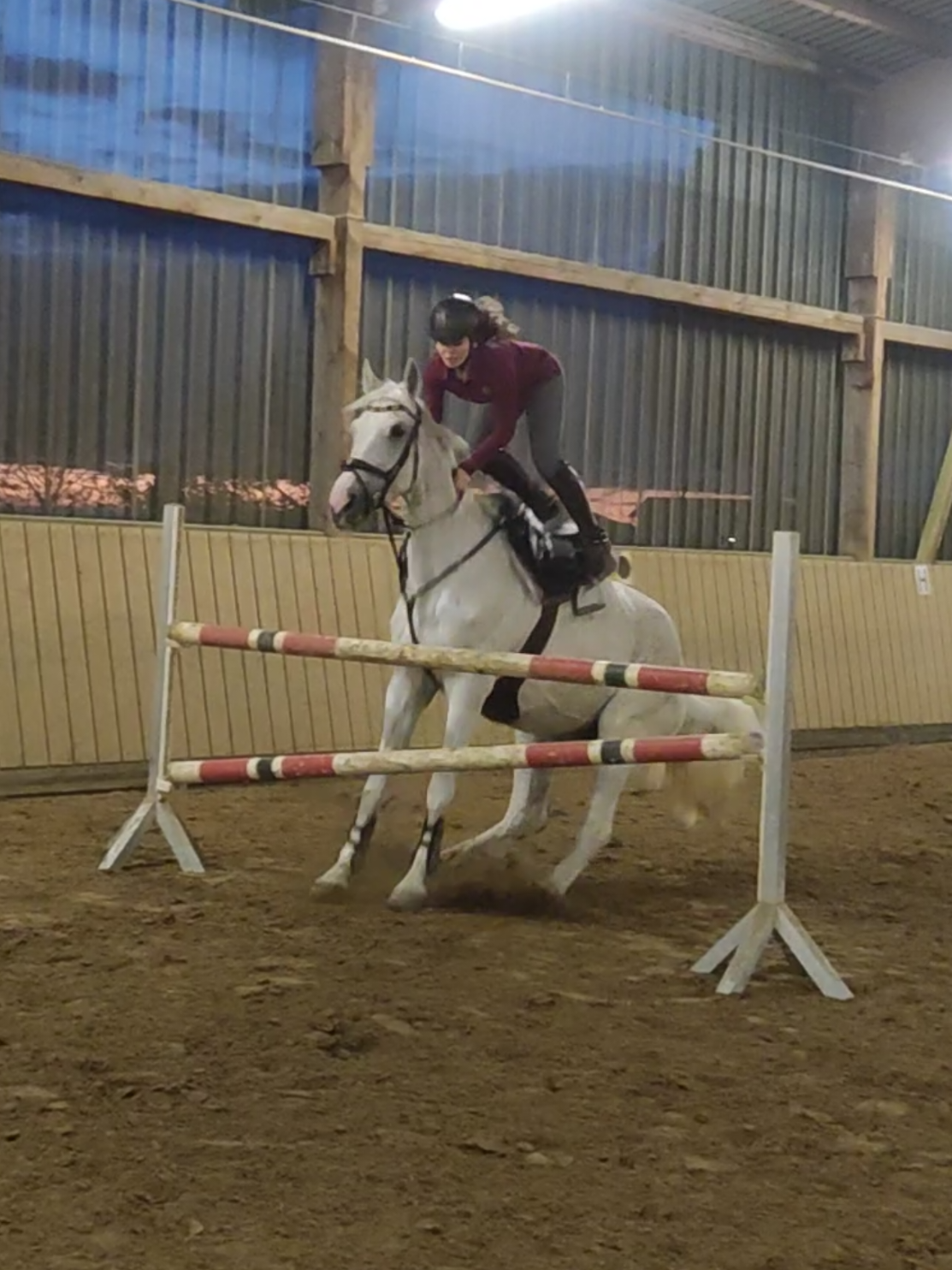 @Spring"Pony"Casha