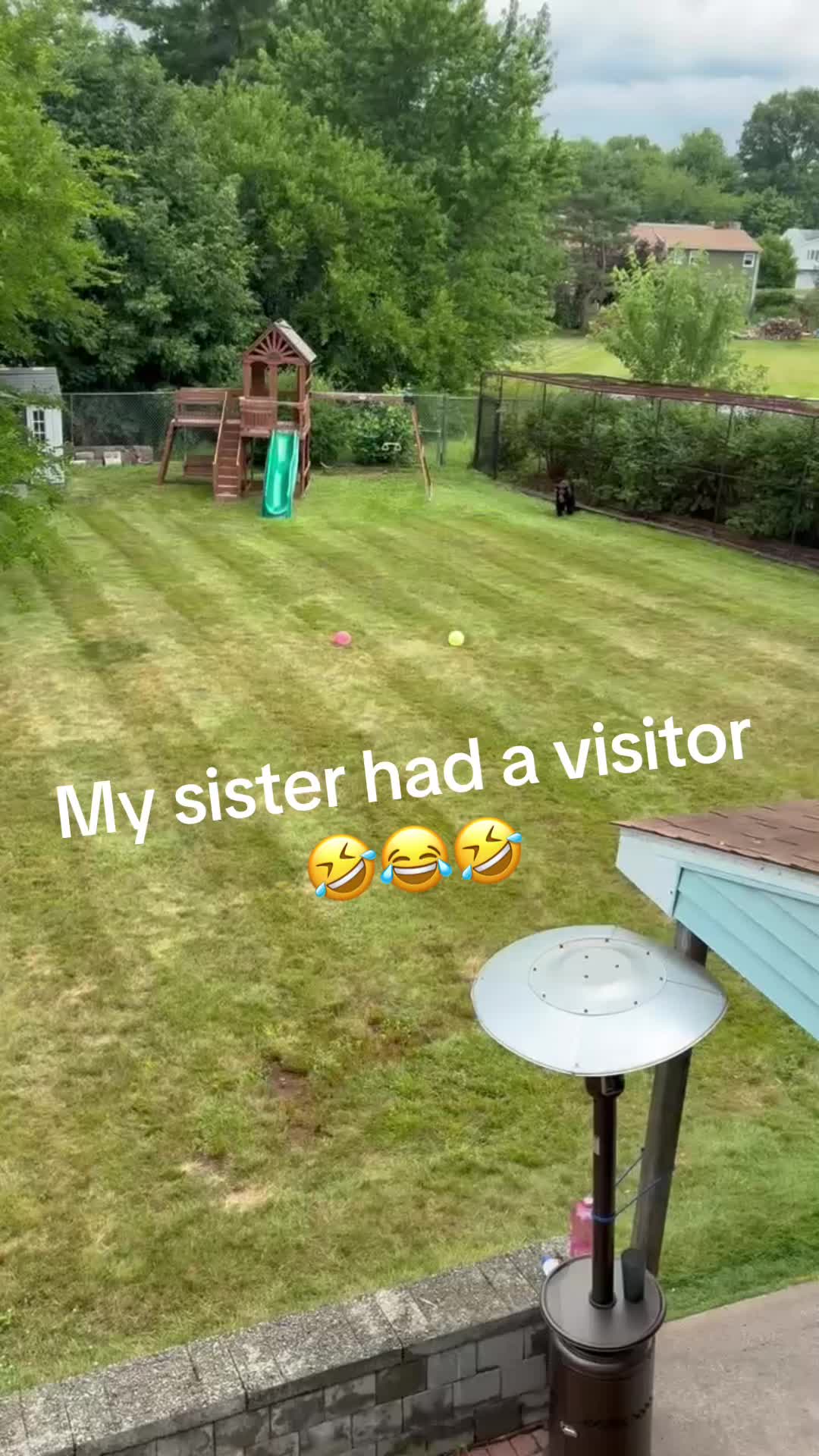 @Lachula44