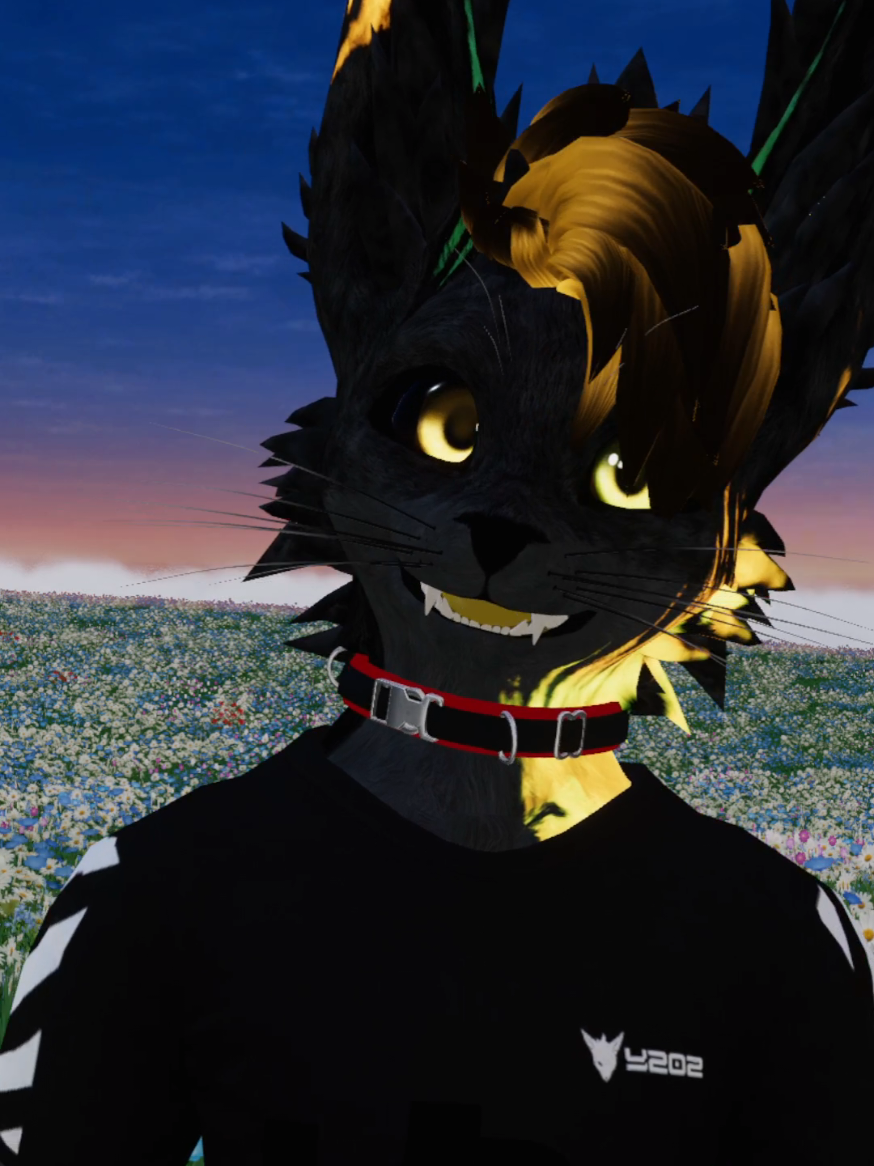 @Varek