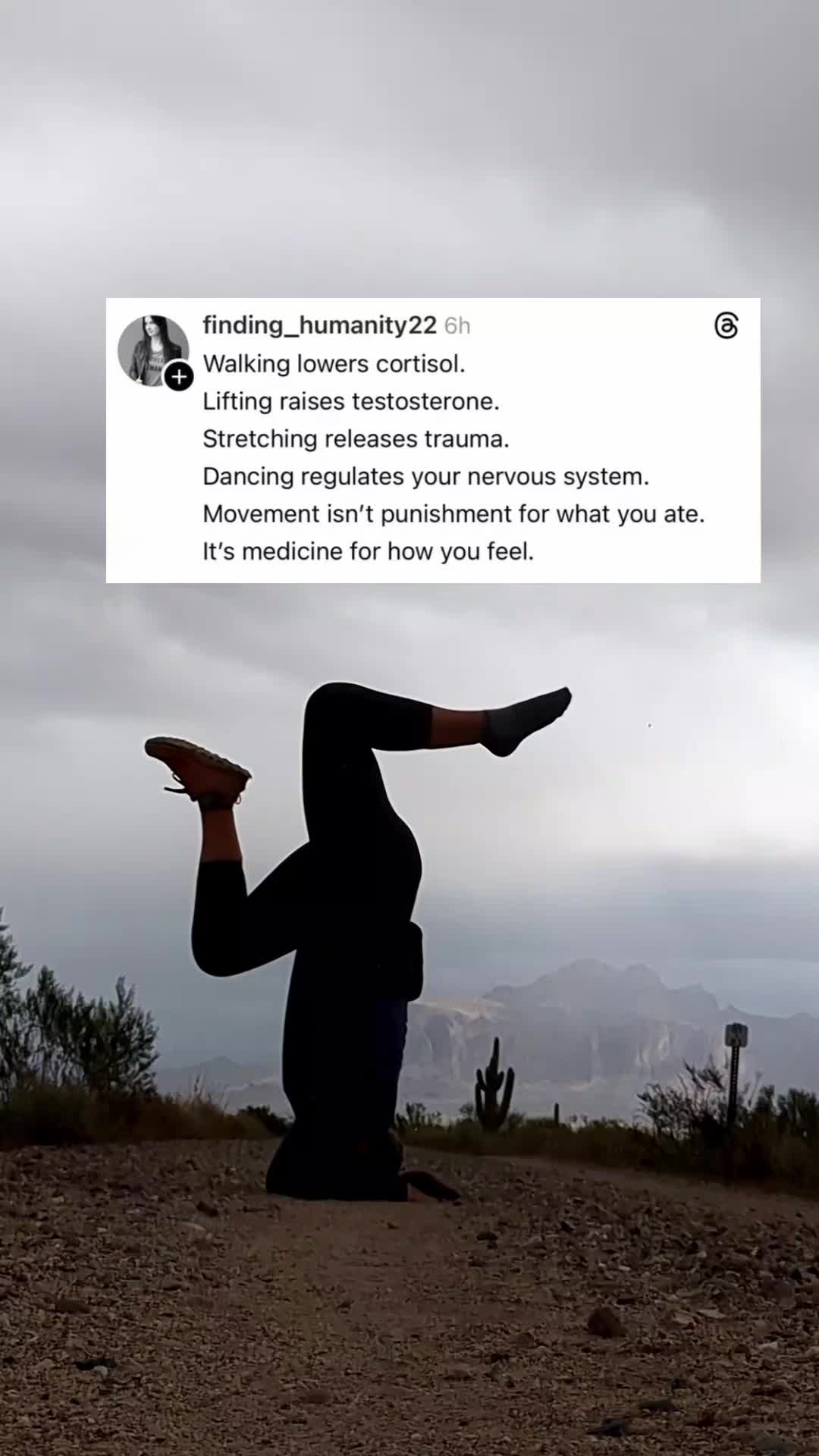 @carolyn | wild girl wellness