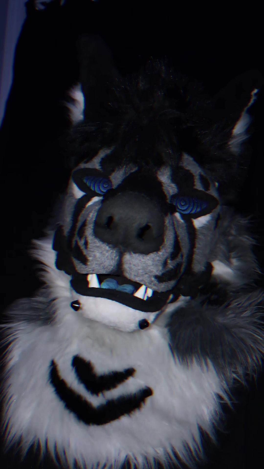 @sonar_hyena_shark