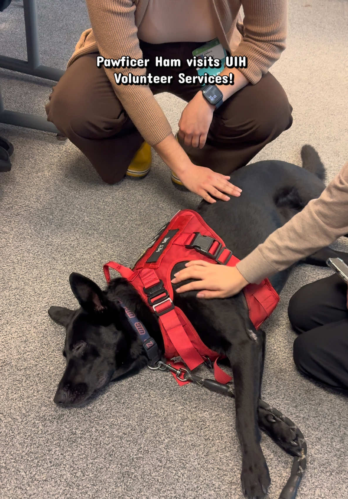 @UIHealthVolunteers