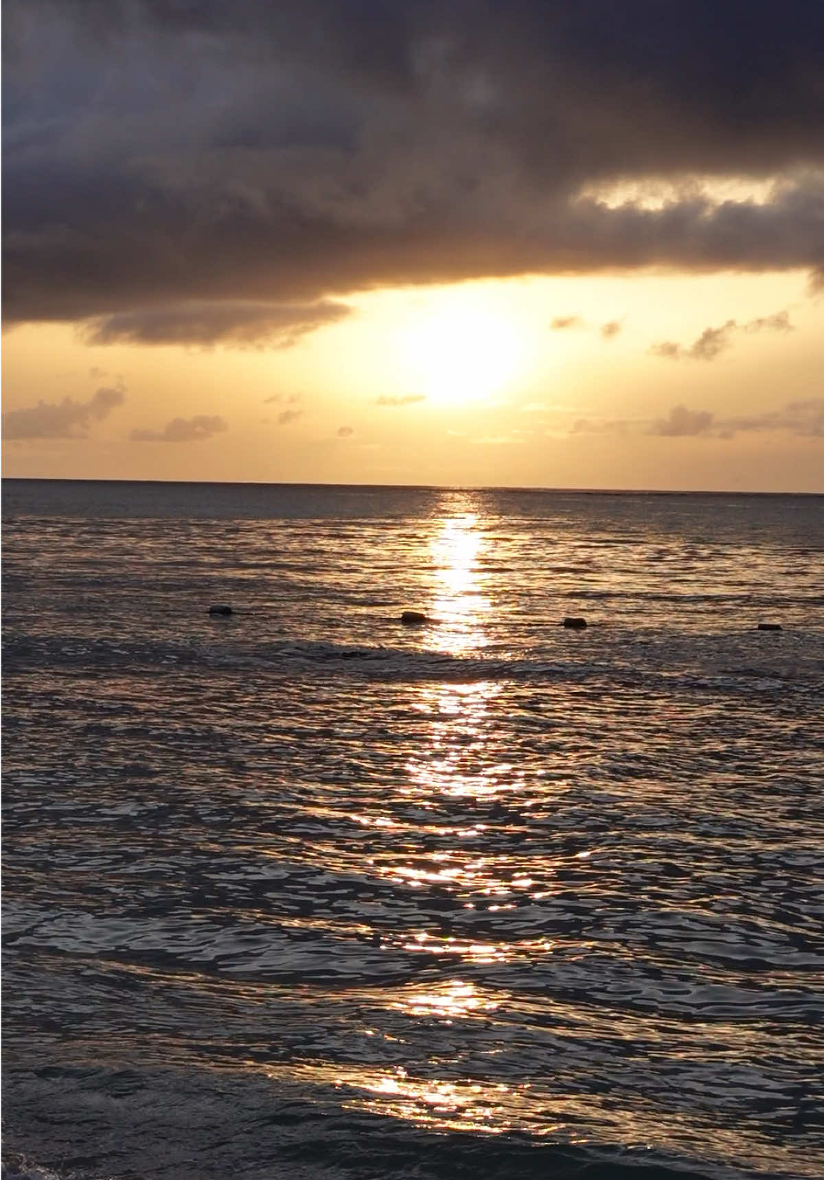 @𝑲𝒊𝒏𝒈 𝑪𝒉𝒊𝒂𝒎𝒂𝒂 ♛