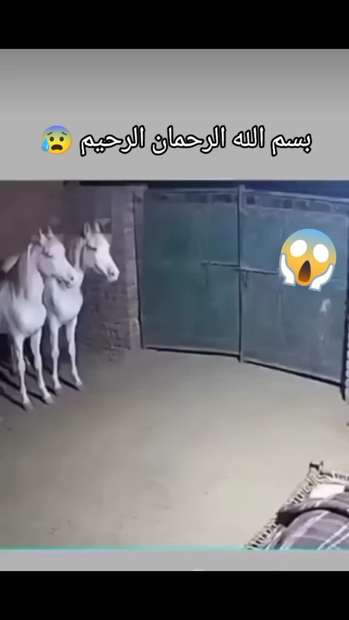 @๐น๐ฆุงูู
ุบุงู
ุฑ ูุงูุฑ ุงูุฌู๐ฆ๐น