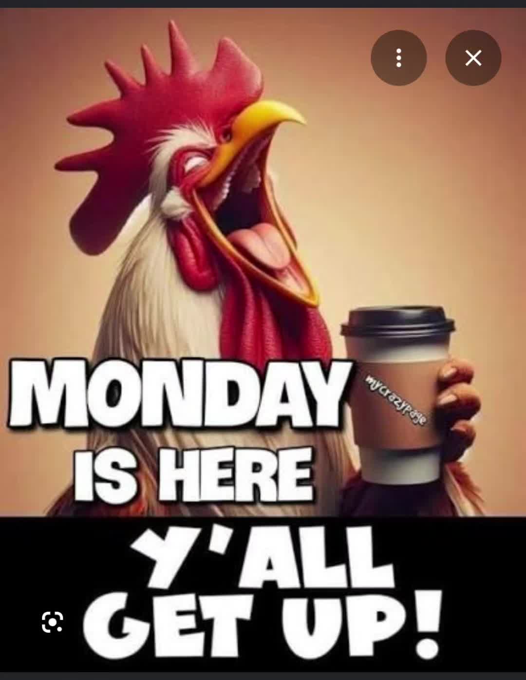 @bridgman01❌️