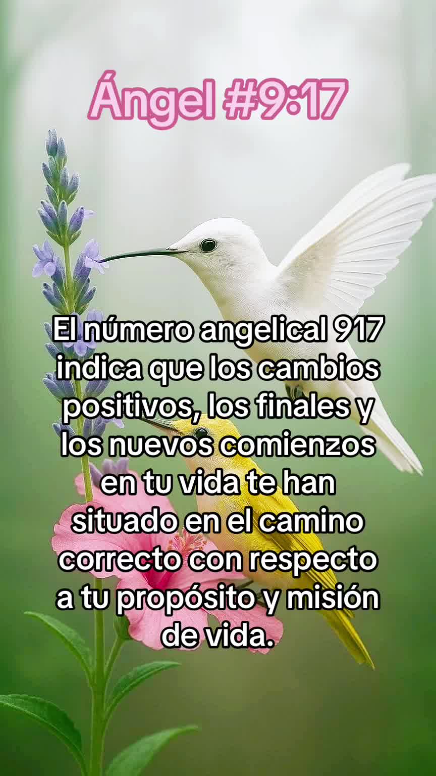 @ᑭOᖇTᗩᒪ Oᖴ EᔕᔕEᑎTIᗩᒪ ᒪIGᕼT