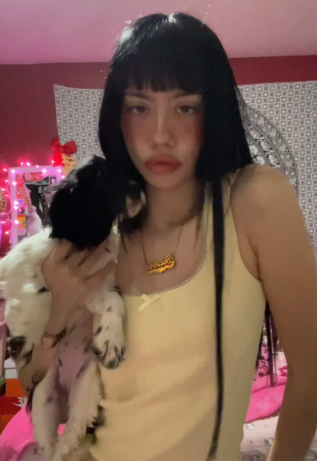 @briannademele