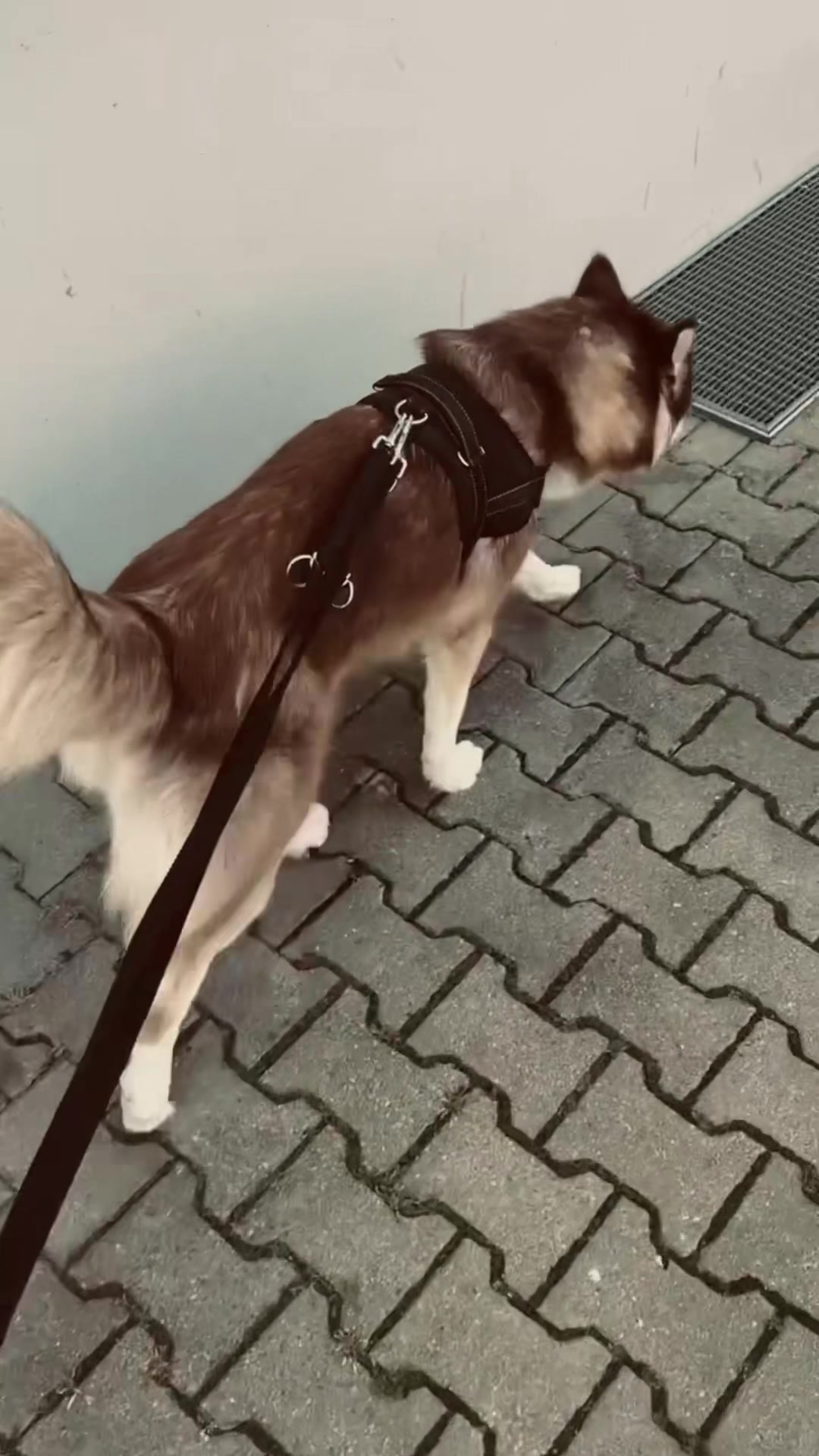 @𝑱𝒆𝒔𝒔𝒊🤍
