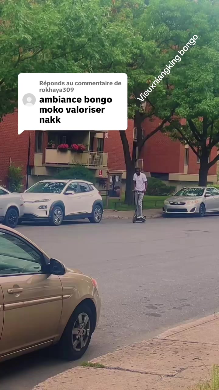 @vieuxniangkingbongo🇺🇸🇨🇦