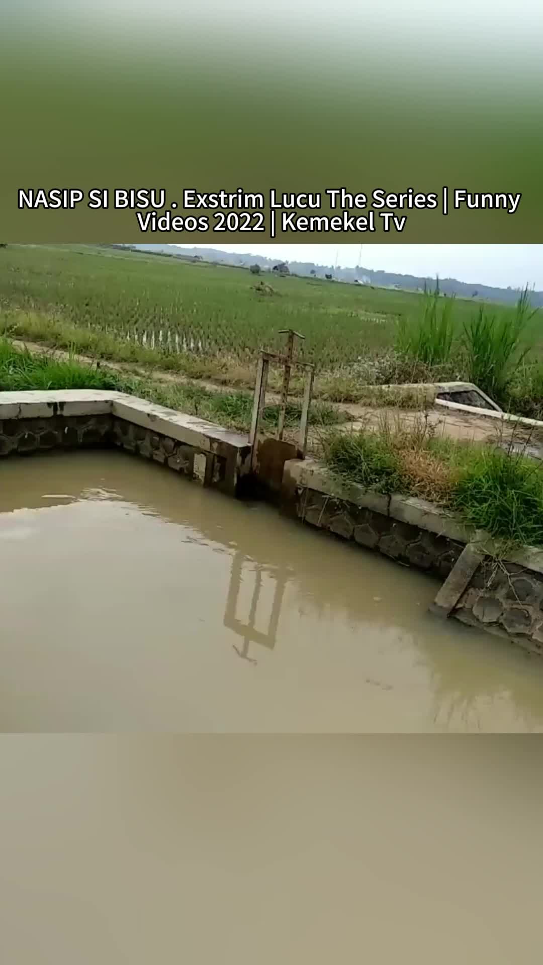 @user37703377025713