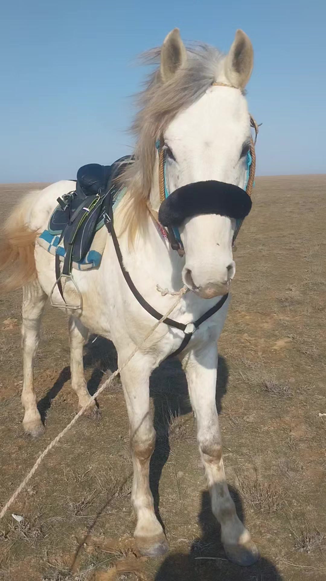 @Мержан