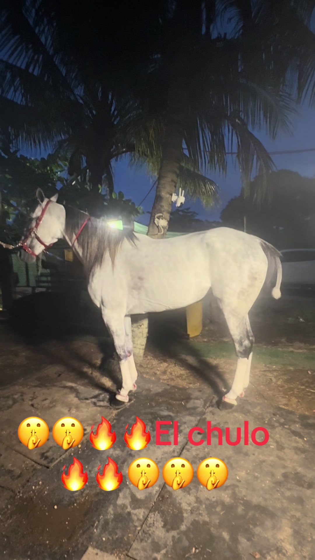 @🔥🔥❤️EL FEO ❤️🔥🔥