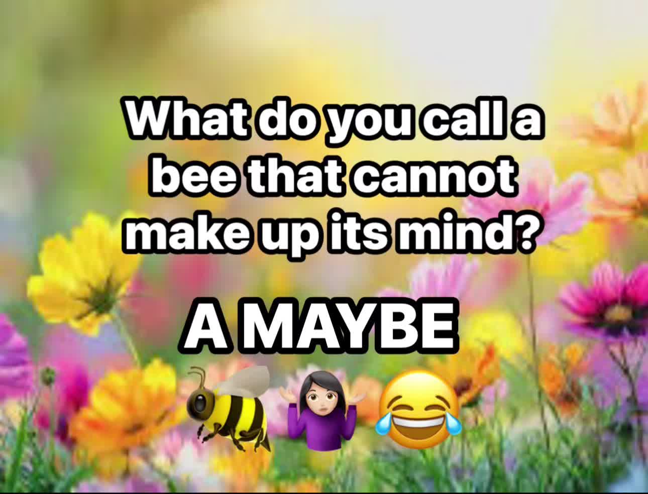 @Kristi Lynns