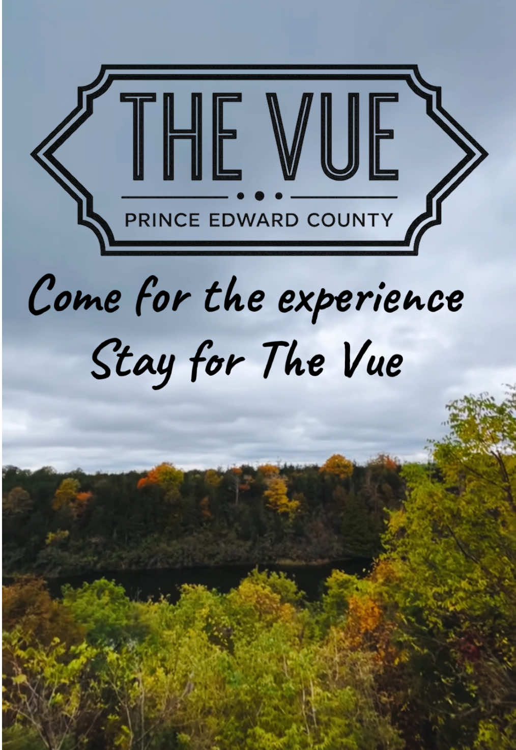 @The Vue