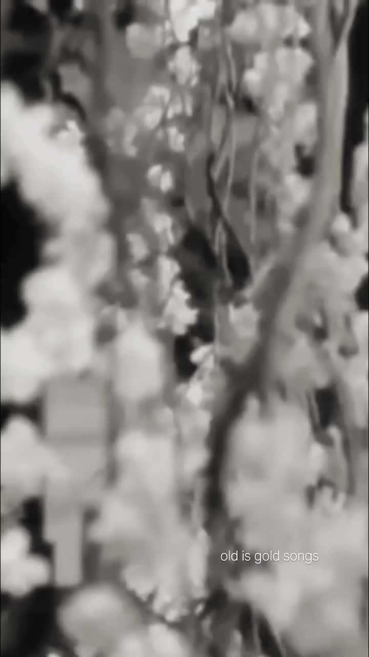 @puraniyaade