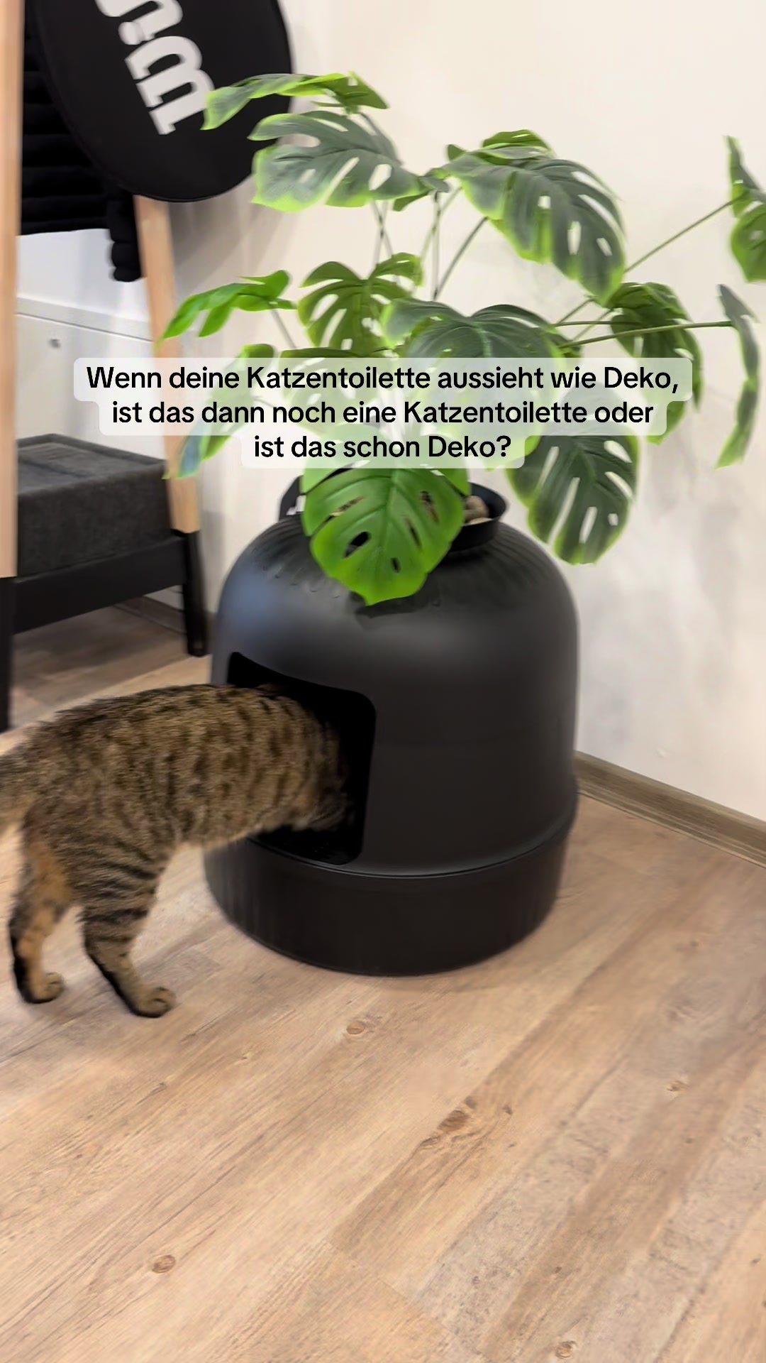 @olia