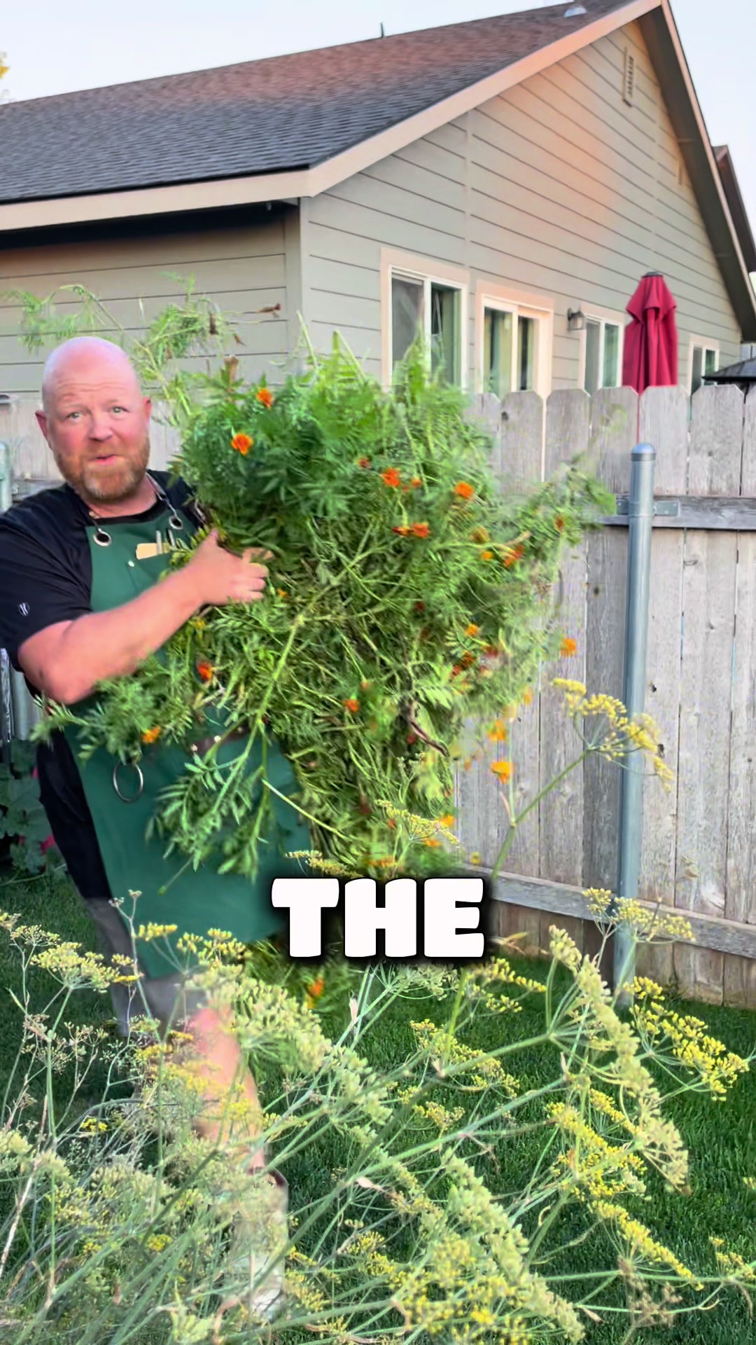 @backyardBeeg