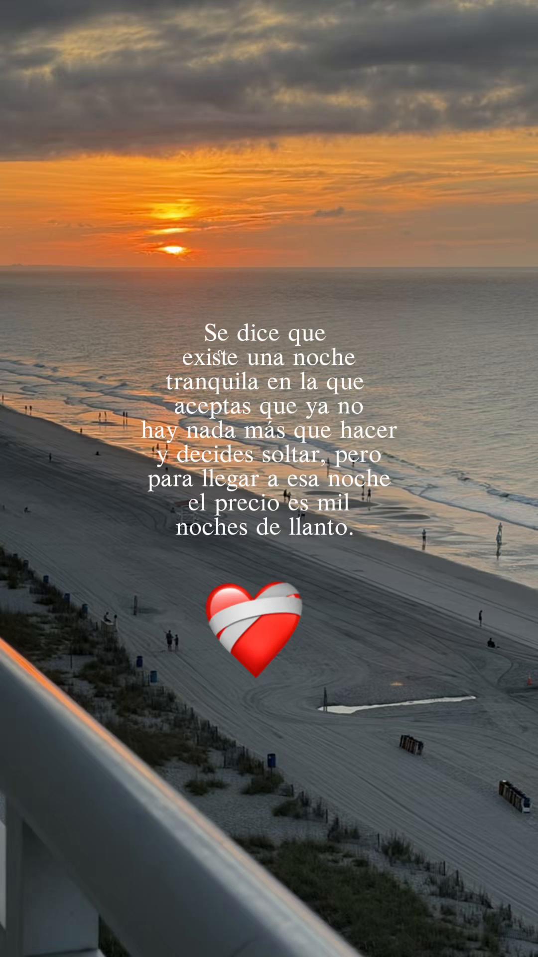 @aylinmartinez460