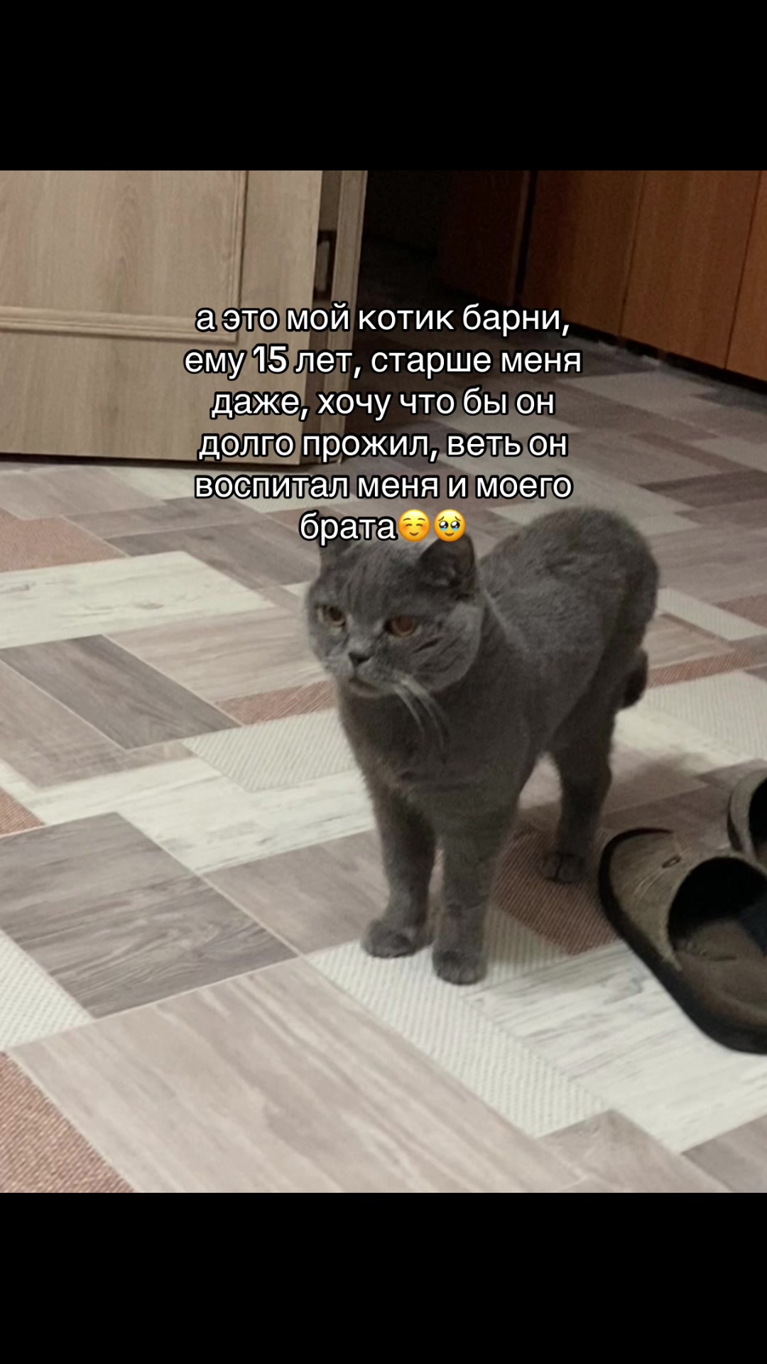 @лариска😛🙄
