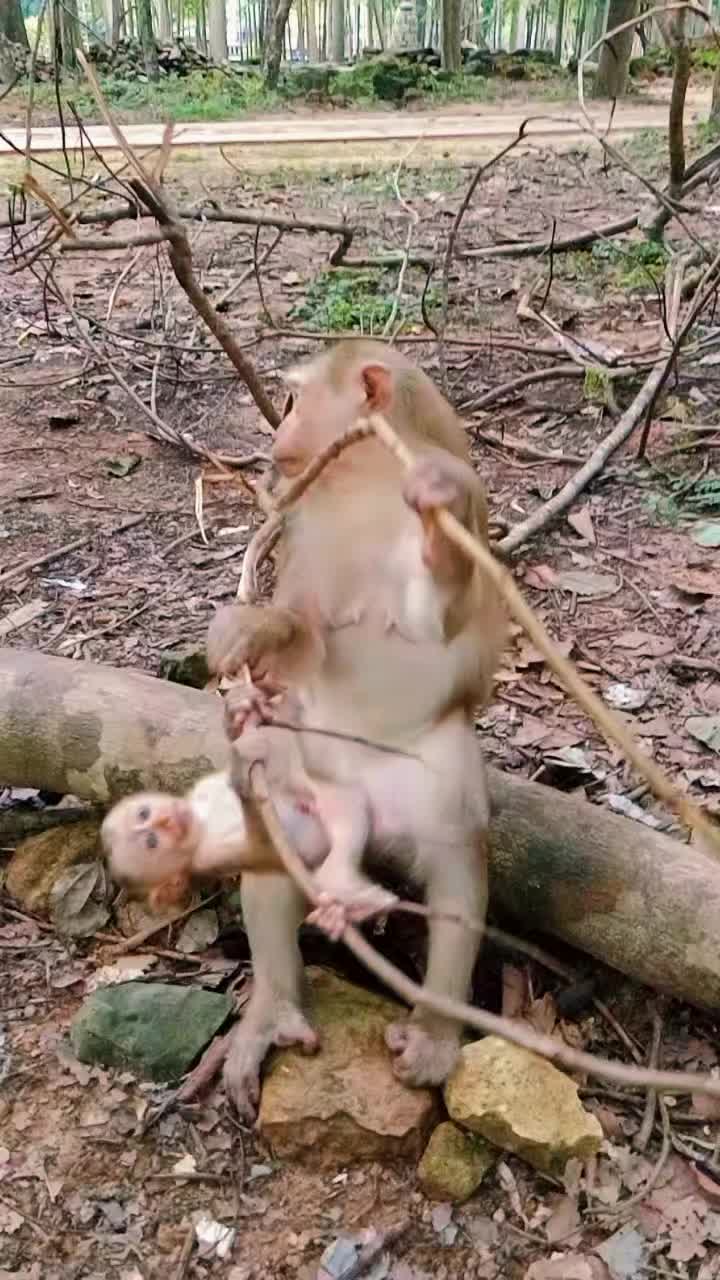 @seng kimhuot