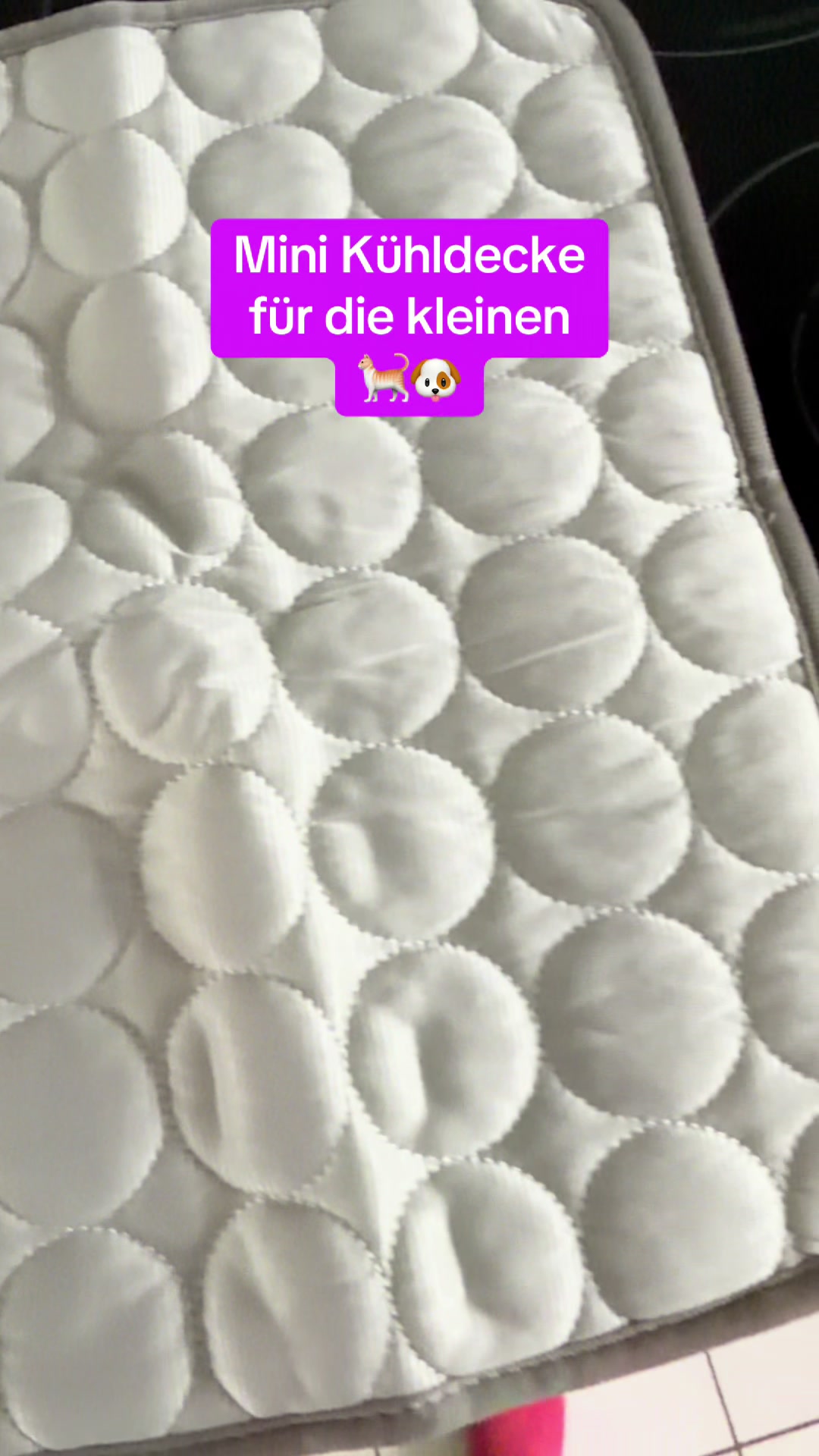 @Braunici