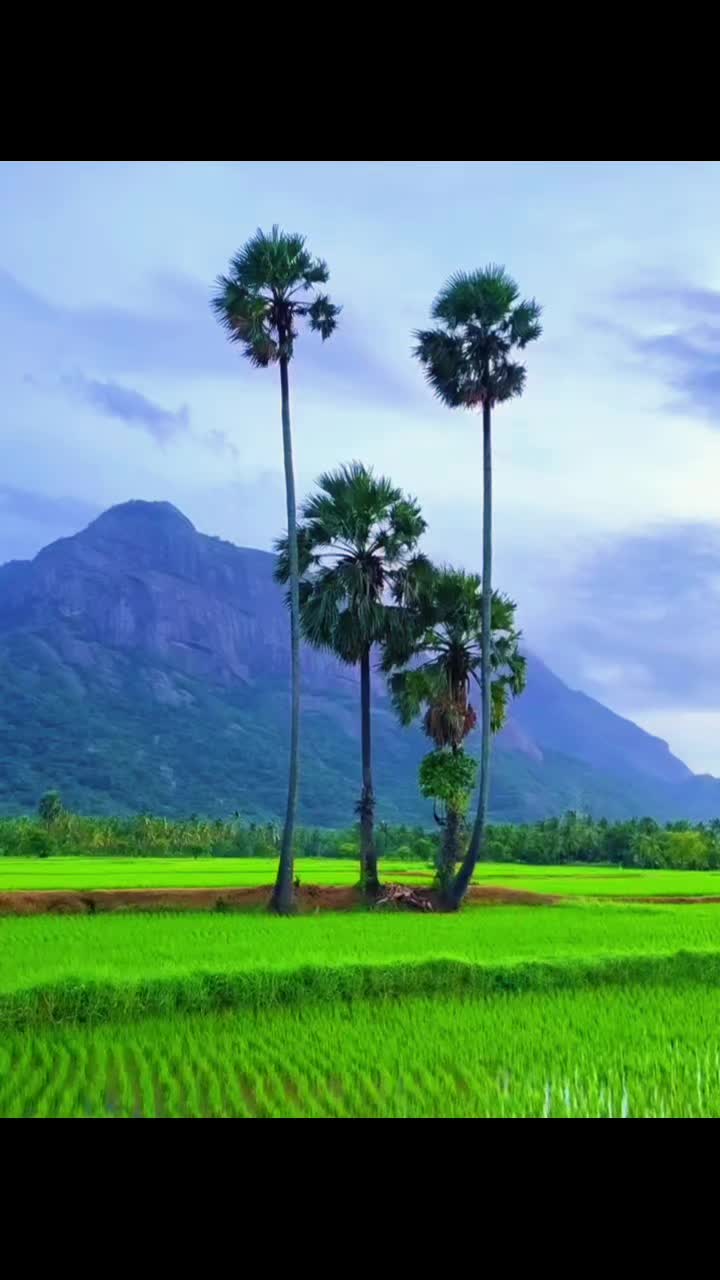 @Daffa321