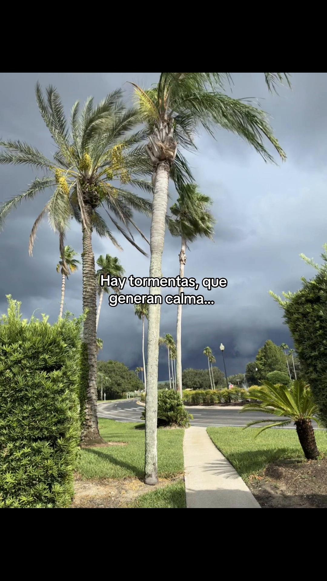 @✨️Dra.Deyliana✨️