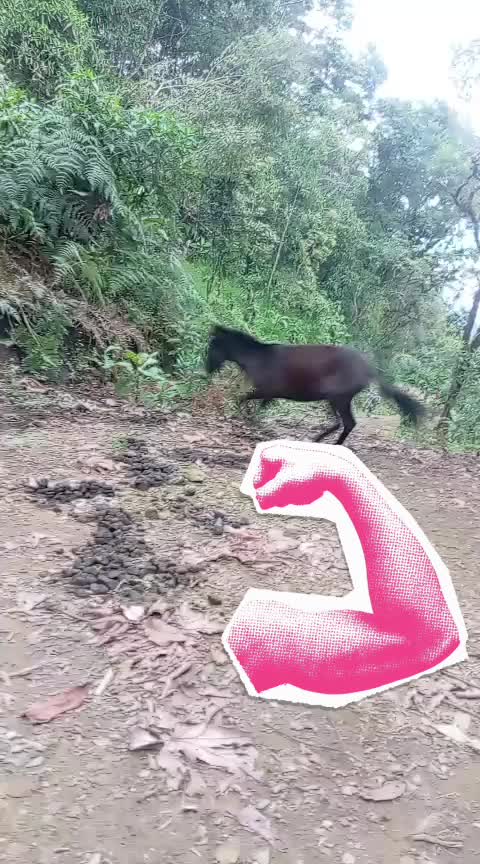 @CRUZ .C.