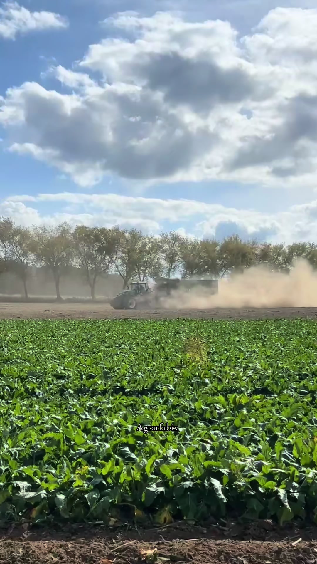 @︎︎︎︎Agrarfabix🌾🚜