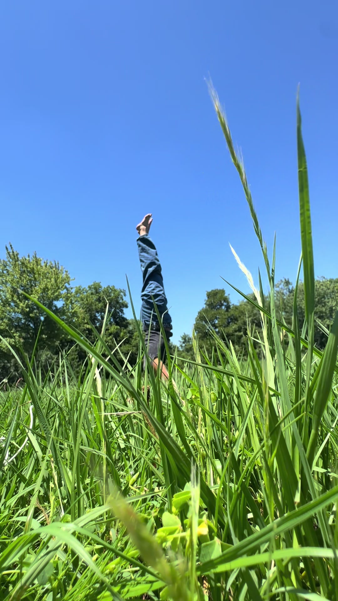 @yogi kenzie ⋆˚꩜。⋆₊⊹