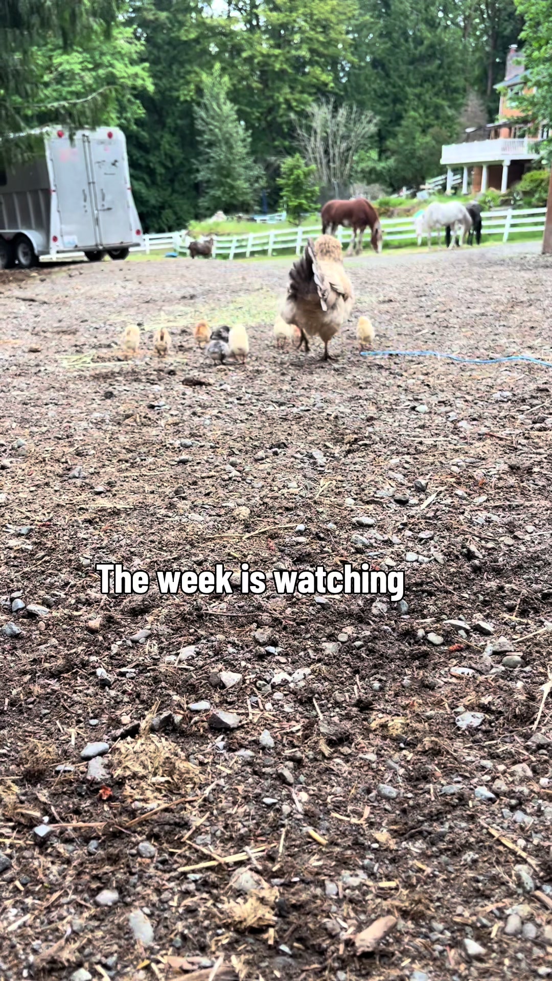 @The Bikini Farmer