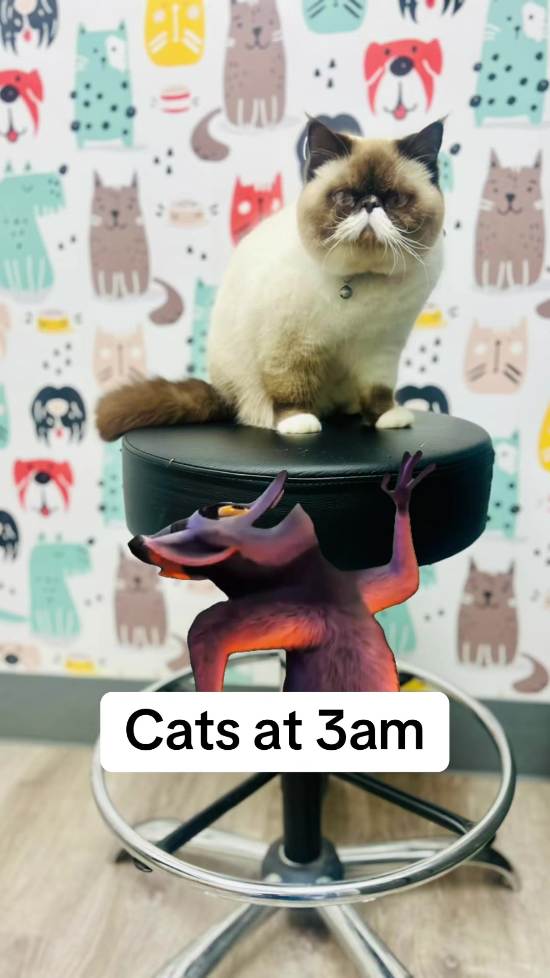 @Snodgrass Vet