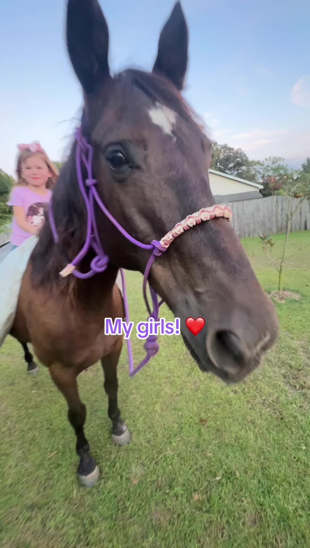 @holly_wood2427
