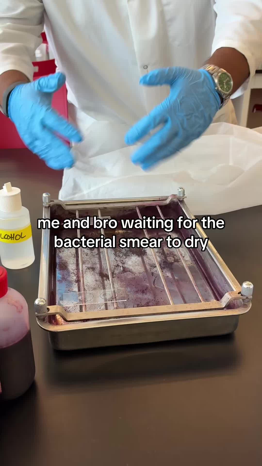 @gus | RDA🦷