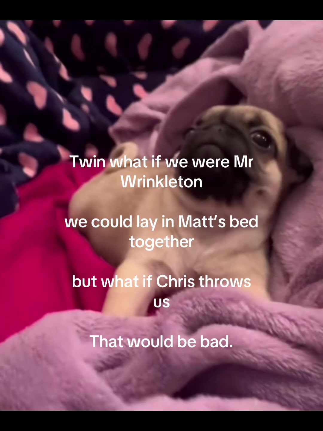 @cailyncat0
