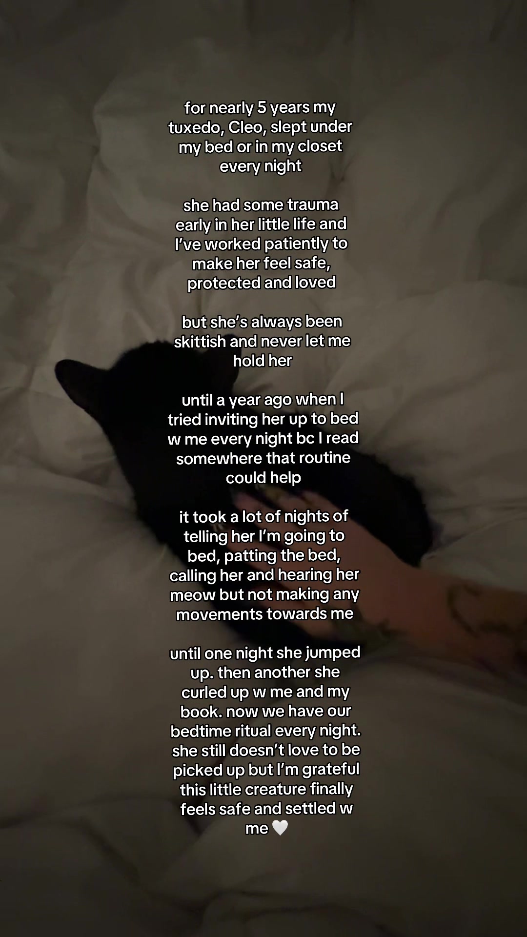 @Alexa Mazur