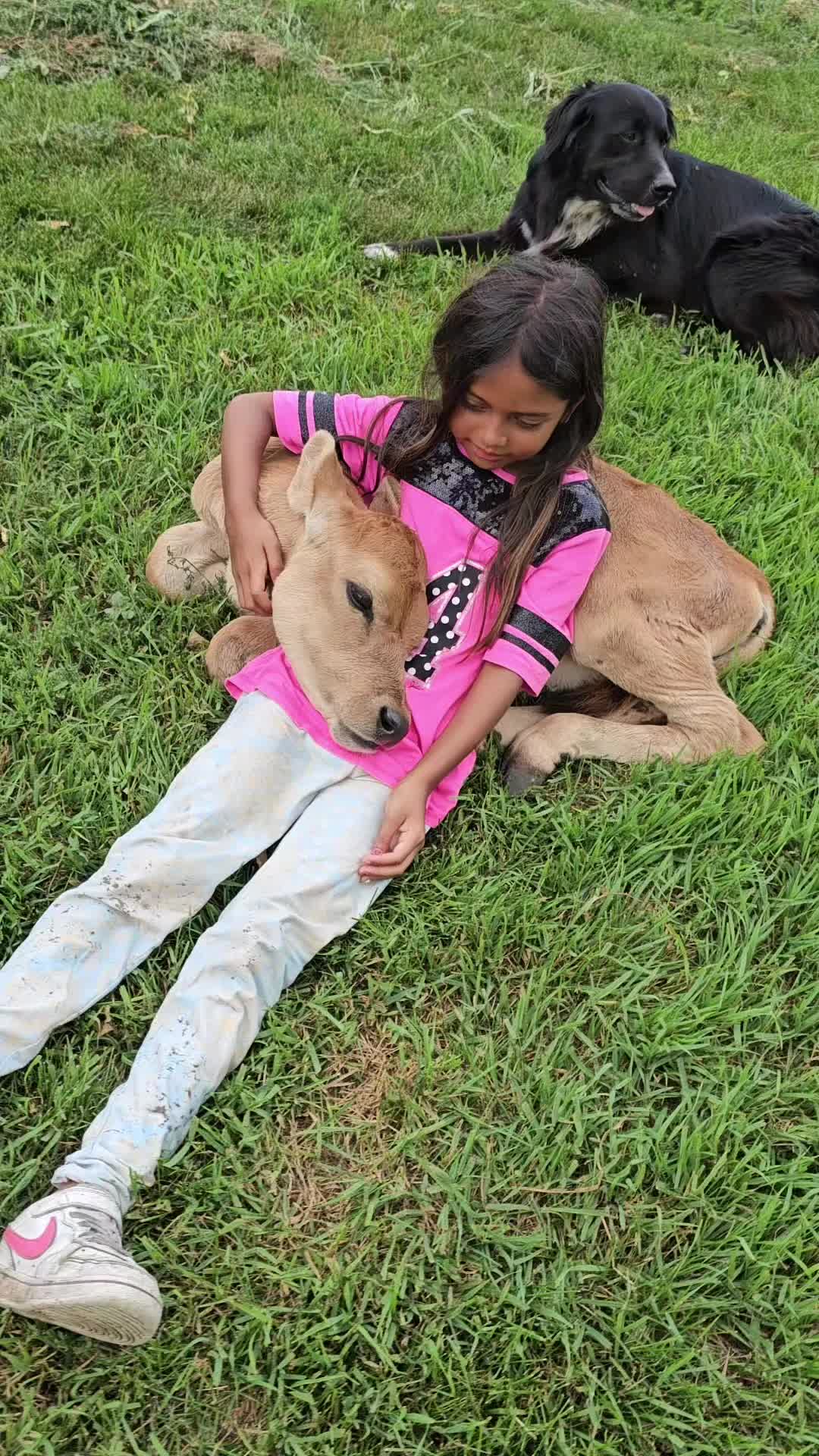 @Dakotafunnyfarm