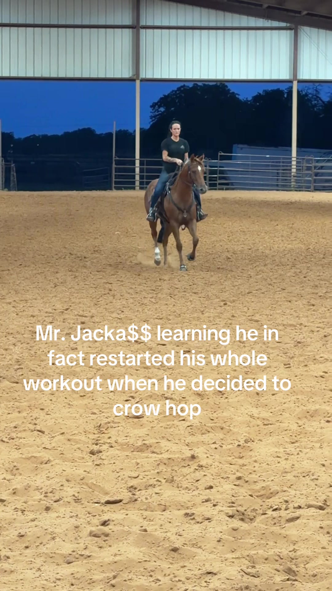 @josiemfmcclintock